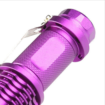 UV Torch Light LED Flashlight Lamp Aluminium Ultra Violet nM Blacklight Camping