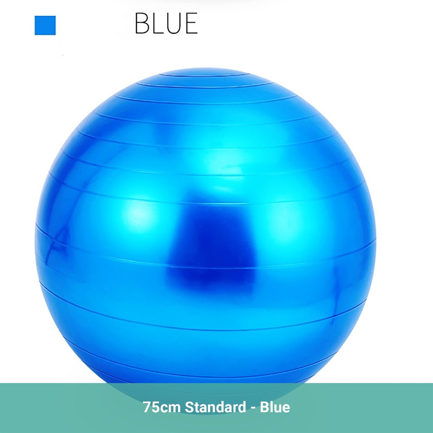 Permafit Yoga Spiky Ball Gymnastic Exercise Fitness Balance Strength With Pump