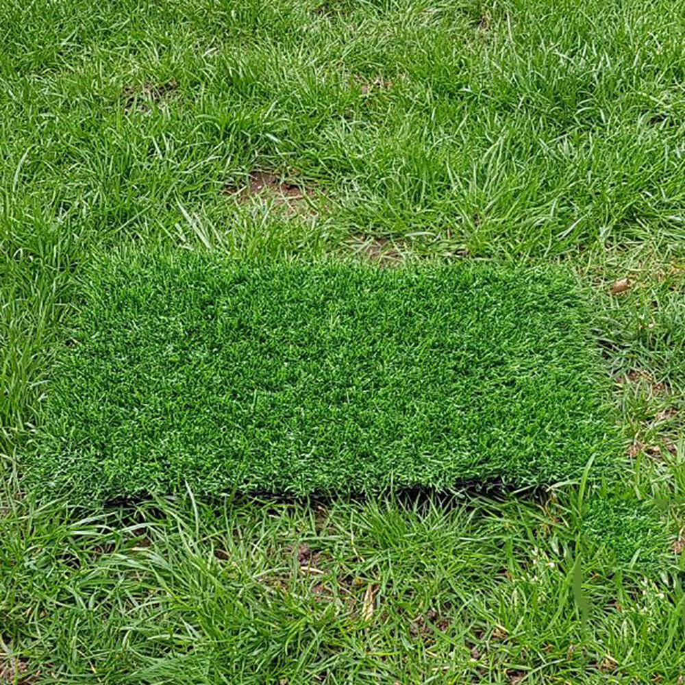 10-80 SQM Synthetic Grass Fake Turf Artificial Mat Plant Lawn Flooring 20mm 30 - Simply Homeware