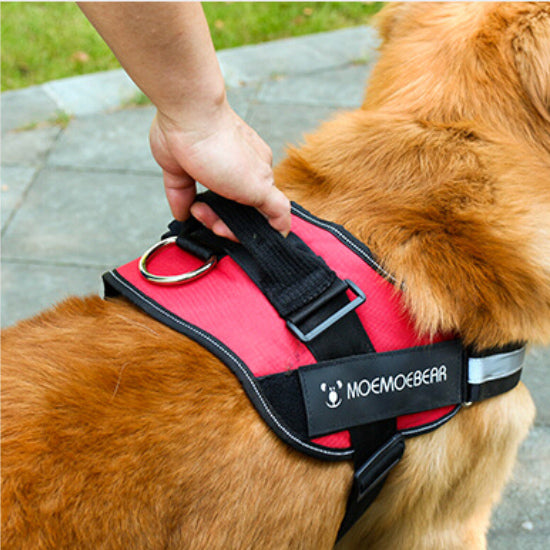 Dog Harness Leash Mesh Adjustable Jacket Clothes Training Large Heavy Puppy Soft