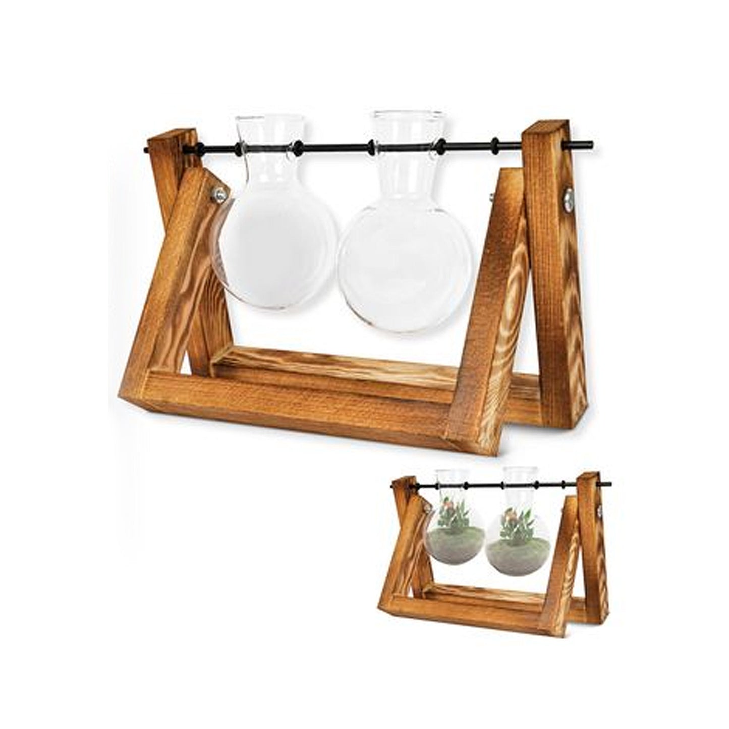 Terrarium Vase Wood Stand Glass Bulb Home Garden Succulents Cacti Plant Decor