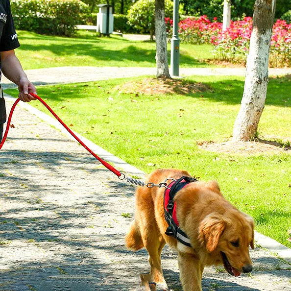 Dog Harness Leash Mesh Adjustable Jacket Clothes Training Large Heavy Puppy Soft