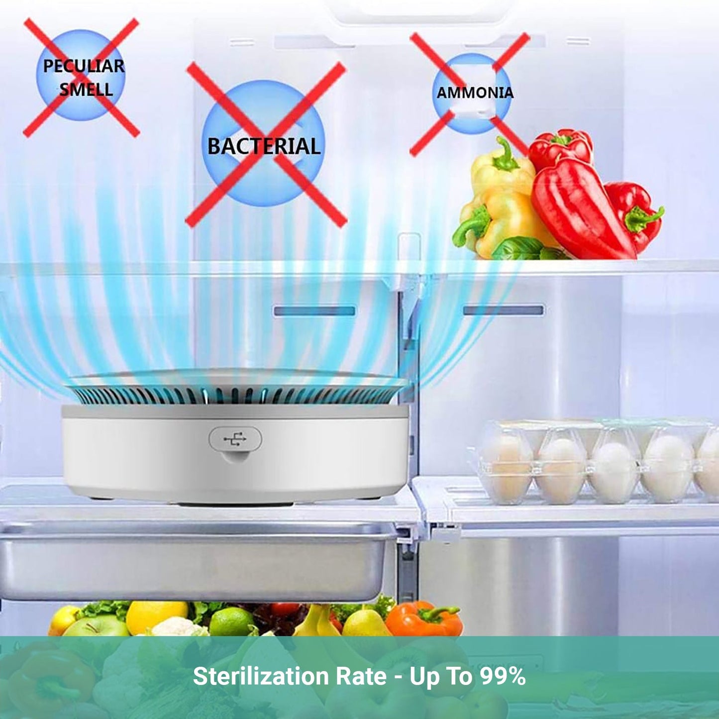 Lecluse Ozone Generator Air Disinfection Box Home Office Purifier Food Protector