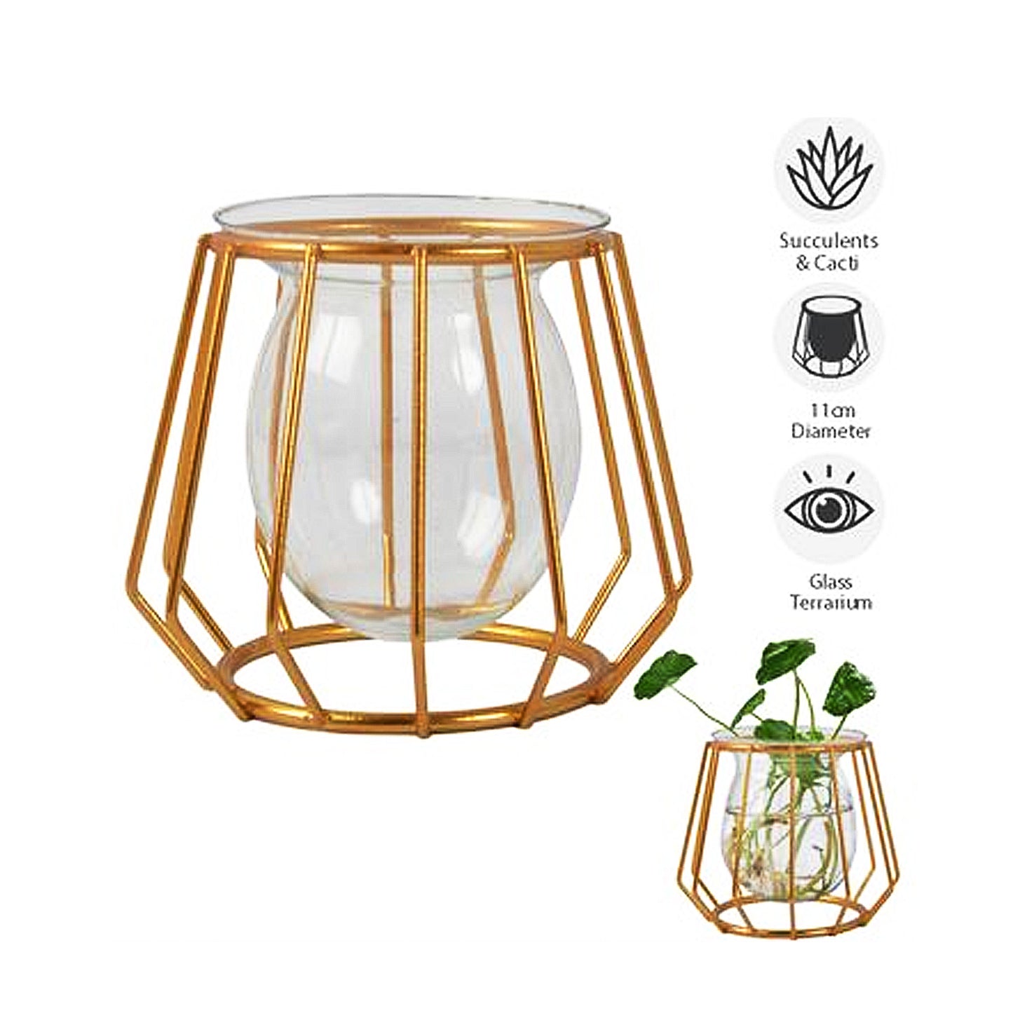 Terrarium Vase Gold Stand Glass Bulb Wire Frame Home Garden Succulents Modern