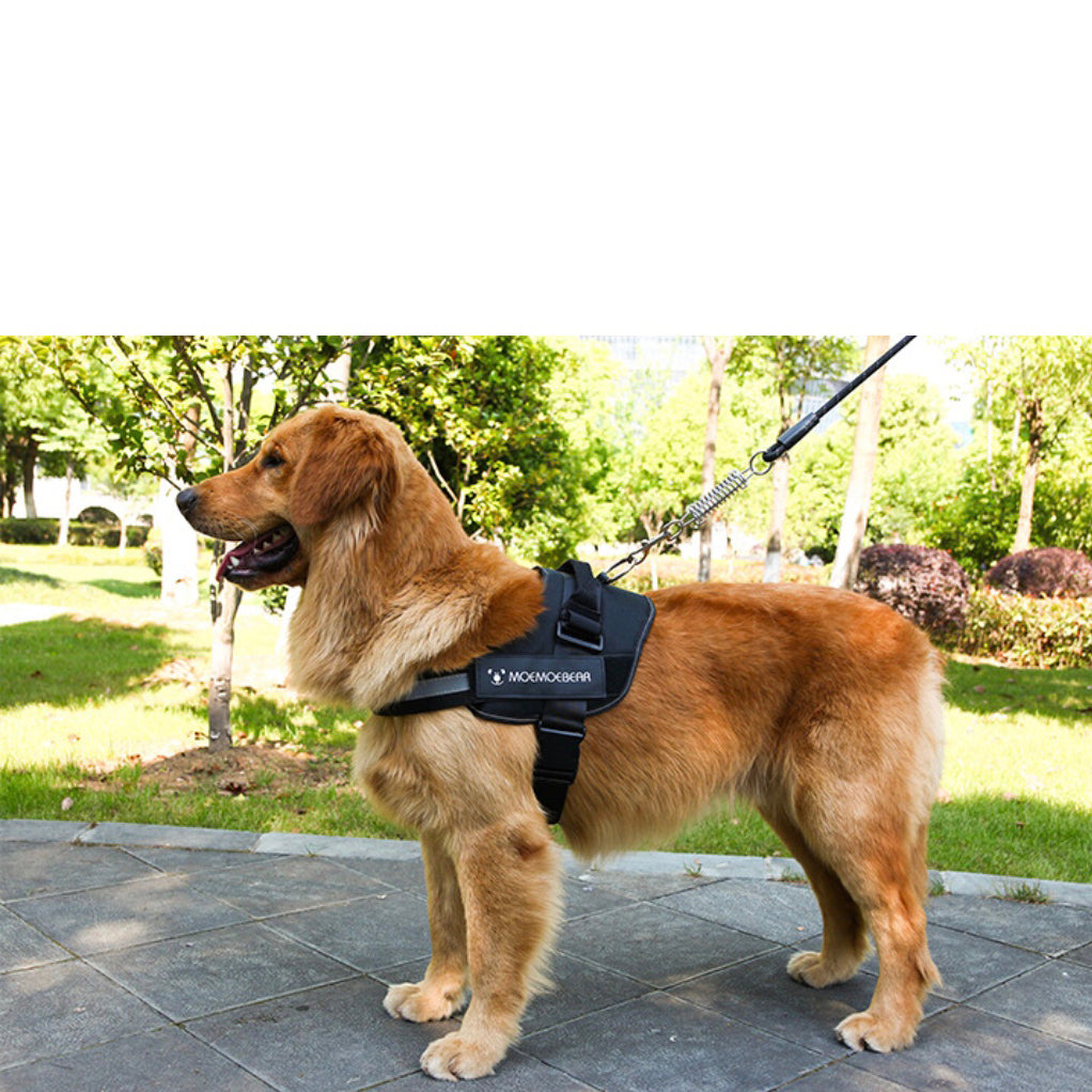 Dog Harness Leash Mesh Adjustable Jacket Clothes Training Large Heavy Puppy Soft