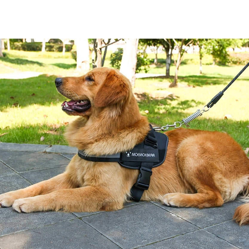 Dog Harness Leash Mesh Adjustable Jacket Clothes Training Large Heavy Puppy Soft