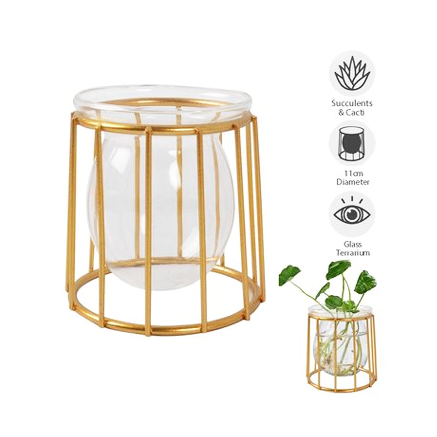 Terrarium Vase Gold Stand Glass Bulb Wire Frame Home Garden Succulents Modern