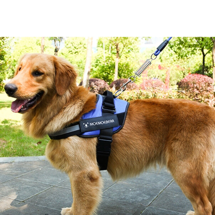 Dog Harness Leash Mesh Adjustable Jacket Clothes Training Large Heavy Puppy Soft