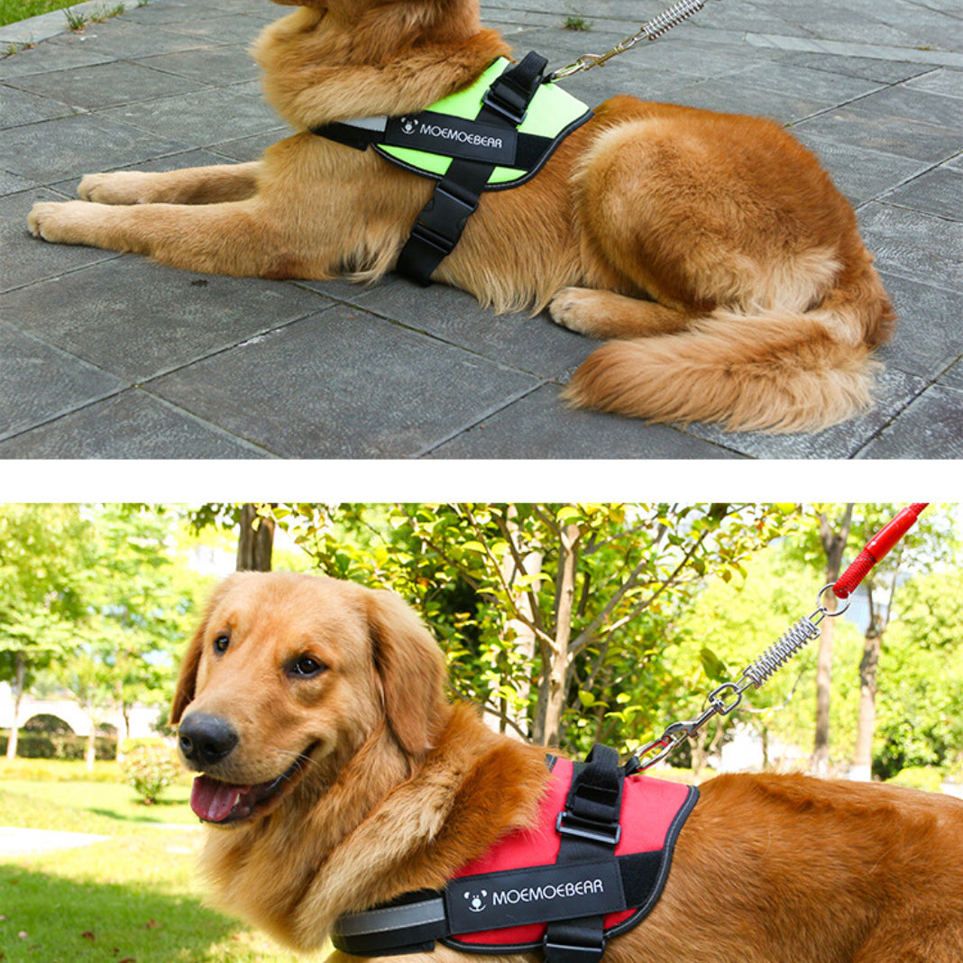 Dog Harness Leash Mesh Adjustable Jacket Clothes Training Large Heavy Puppy Soft