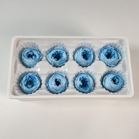 Lineguard Dried Preserved Flower Rose Multiple Natural Pressed Flowers Colorful