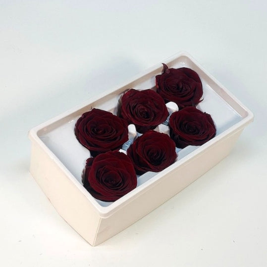 Lineguard Dried Preserved Flower Rose Multiple Natural Pressed Flowers Colorful