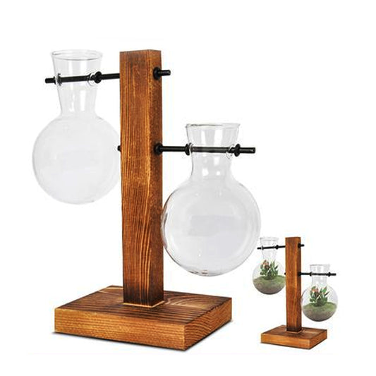 Terrarium Vase Wood Stand Glass Bulb Home Garden Succulents Cacti Plant Decor