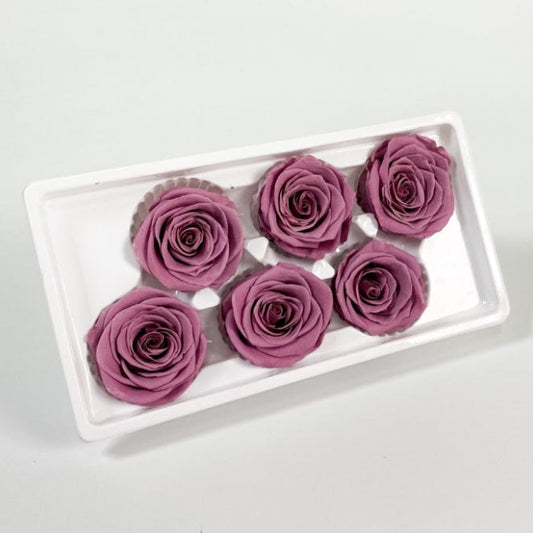Lineguard Dried Preserved Flower Rose Multiple Natural Pressed Flowers Colorful